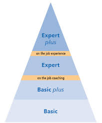 Modular course in iihti